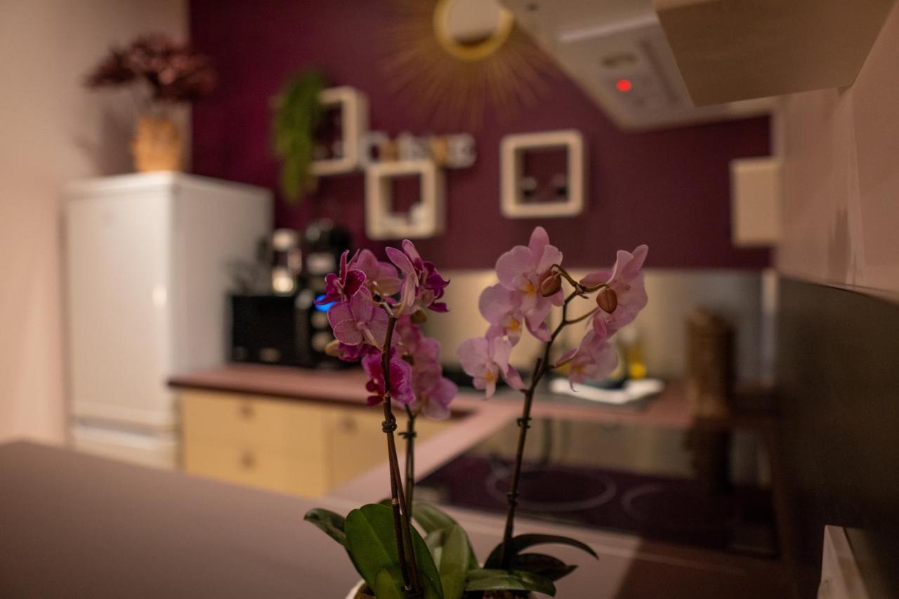 Studio Coeur De Ville Sanary Tres Cosy Parking Dış mekan fotoğraf